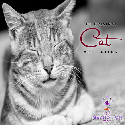 Cat Meditation Audiobook